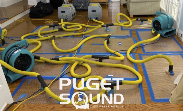 Puget Sound Water Rescue logo